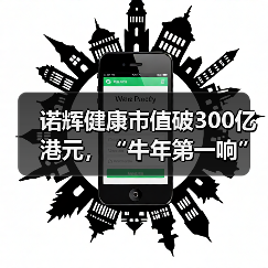 诺辉健康市值破300亿港元,“牛年第一响”有多响? 诺辉健康市值破300亿港元,“牛年第一响”有多响?