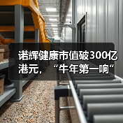 诺辉健康市值破300亿港元,“牛年第一响”有多响? 诺辉健康市值破300亿港元,“牛年第一响”有多响?