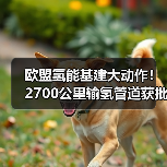 欧盟氢能基建大动作!2700公里输氢管道获批,助力碳中和 欧盟氢能基建大动作!2700公里输氢管道获批,助力碳中和